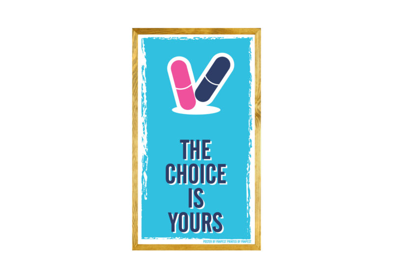 The Choice Is Yours poster The Choice Is Yours poster